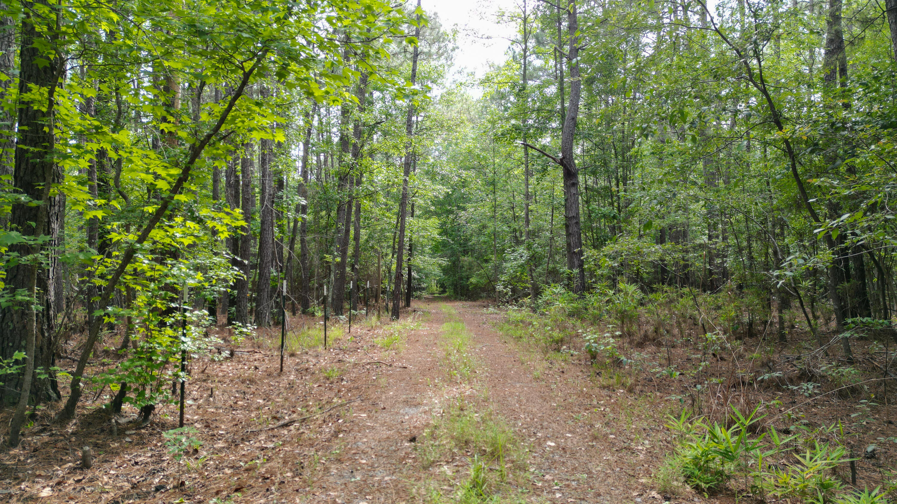 115 Smith Island Trail B