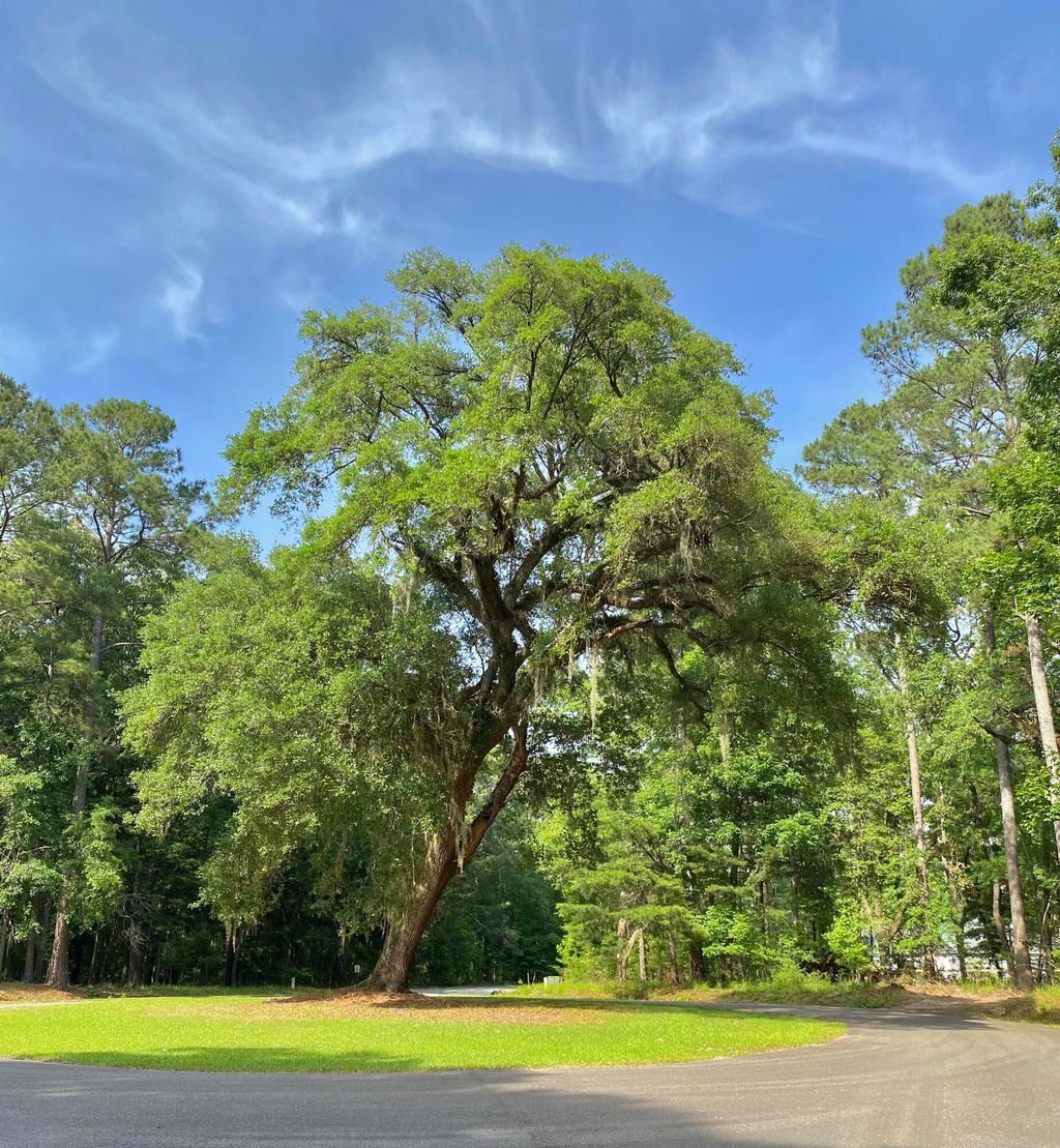 Photo of Lot 8 Buttonbush Drive, Ravenel, SC 29470 (MLS # 25013549)