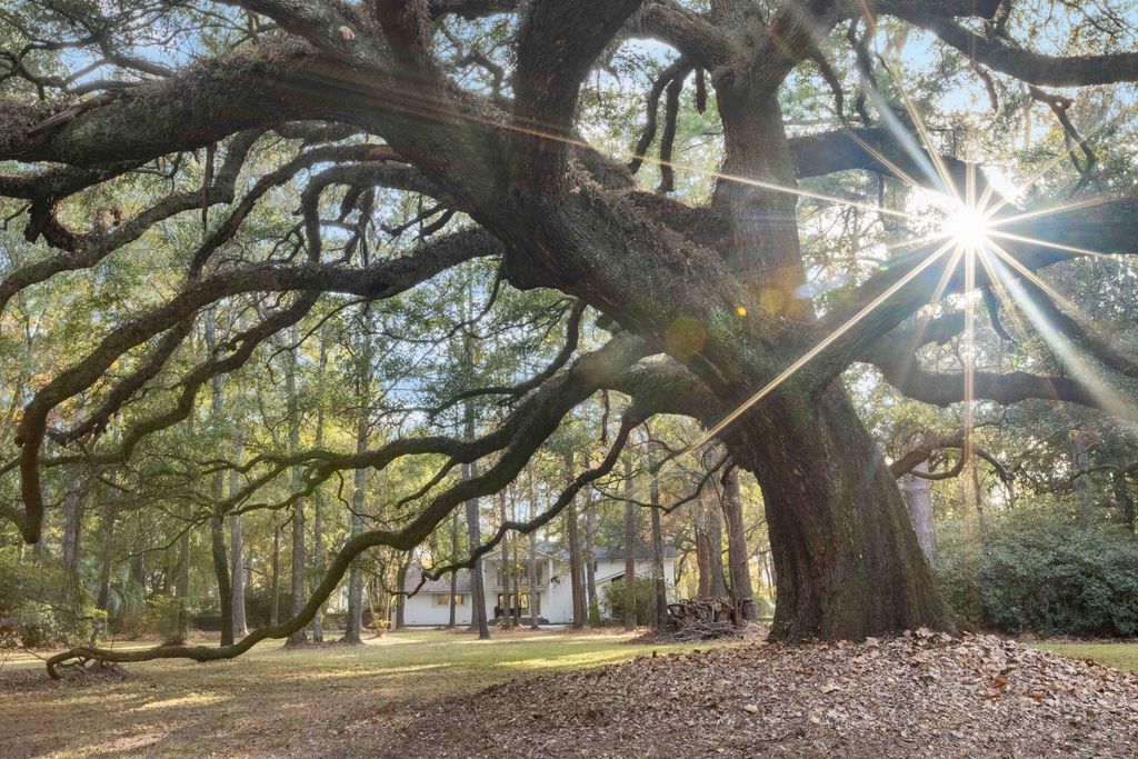 Photo of 9875 Jamison Road, Summerville, SC 29485 (MLS # 25031348)