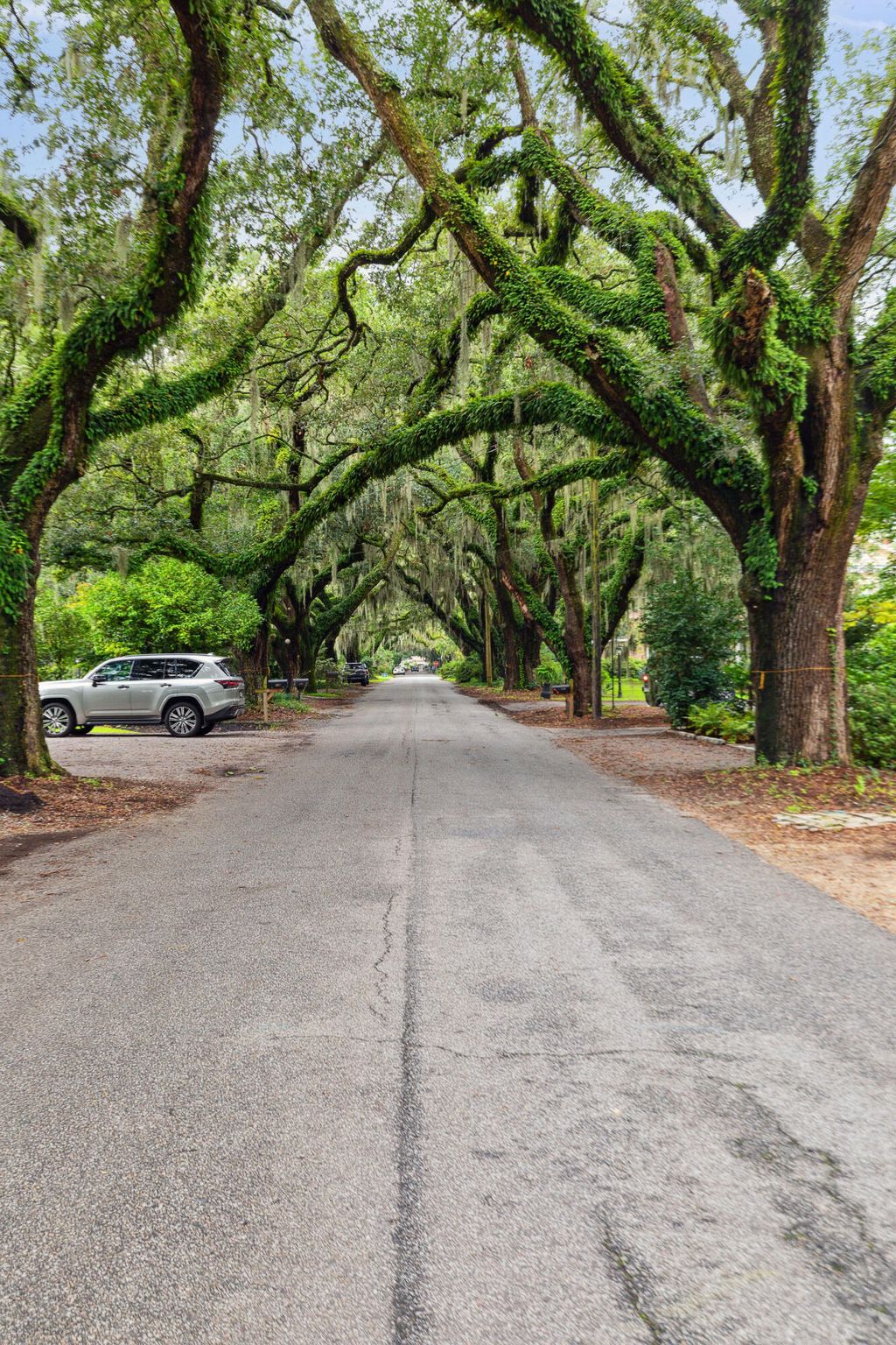 Photo of 2101 Wappoo Drive, Charleston, SC 29412 (MLS # 25014943)
