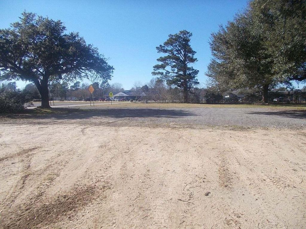 Photo of 295 N Us-52 Highway, Moncks Corner, SC 29461 (MLS # 25005315)