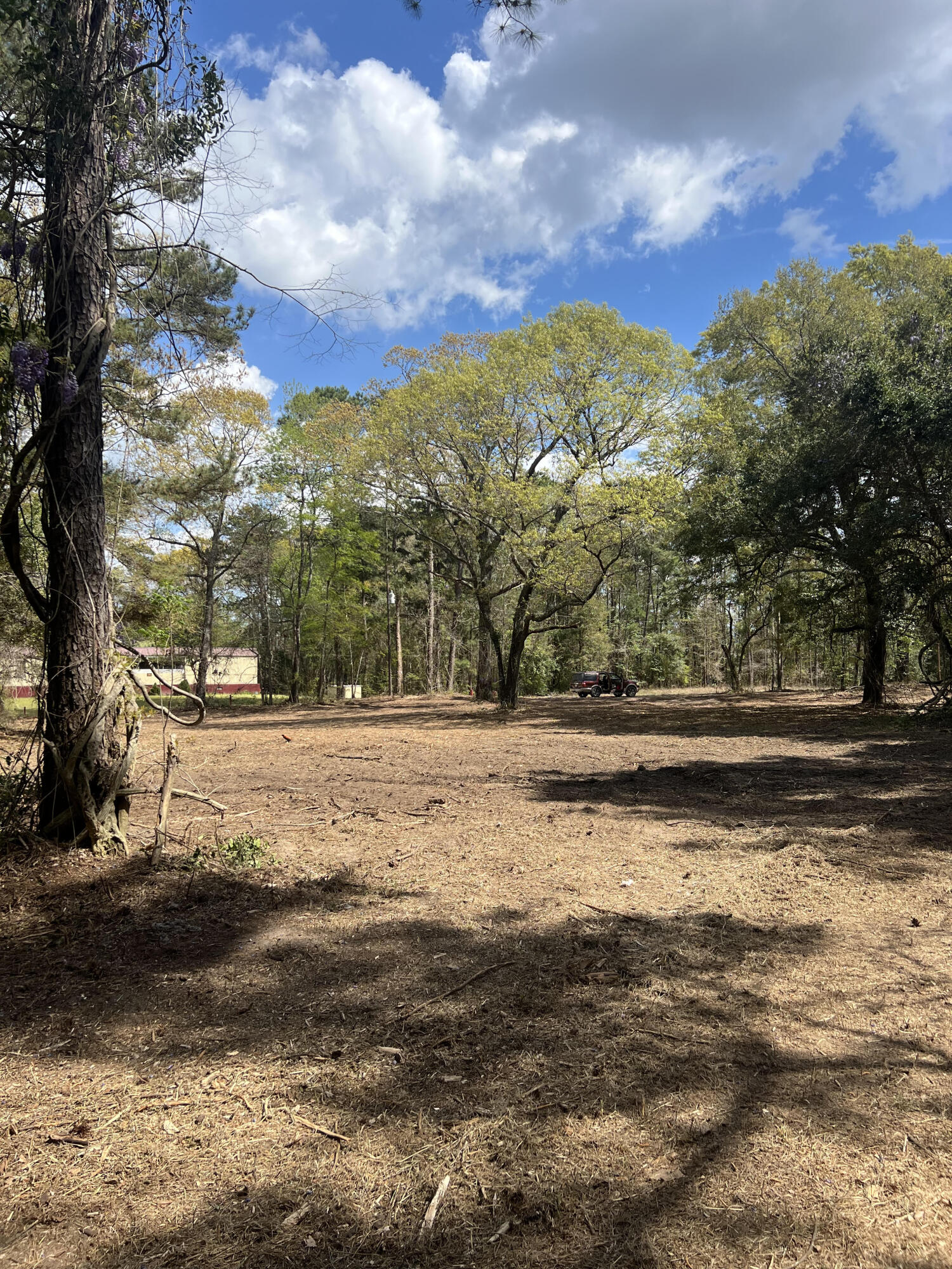 111 Roberta Drive