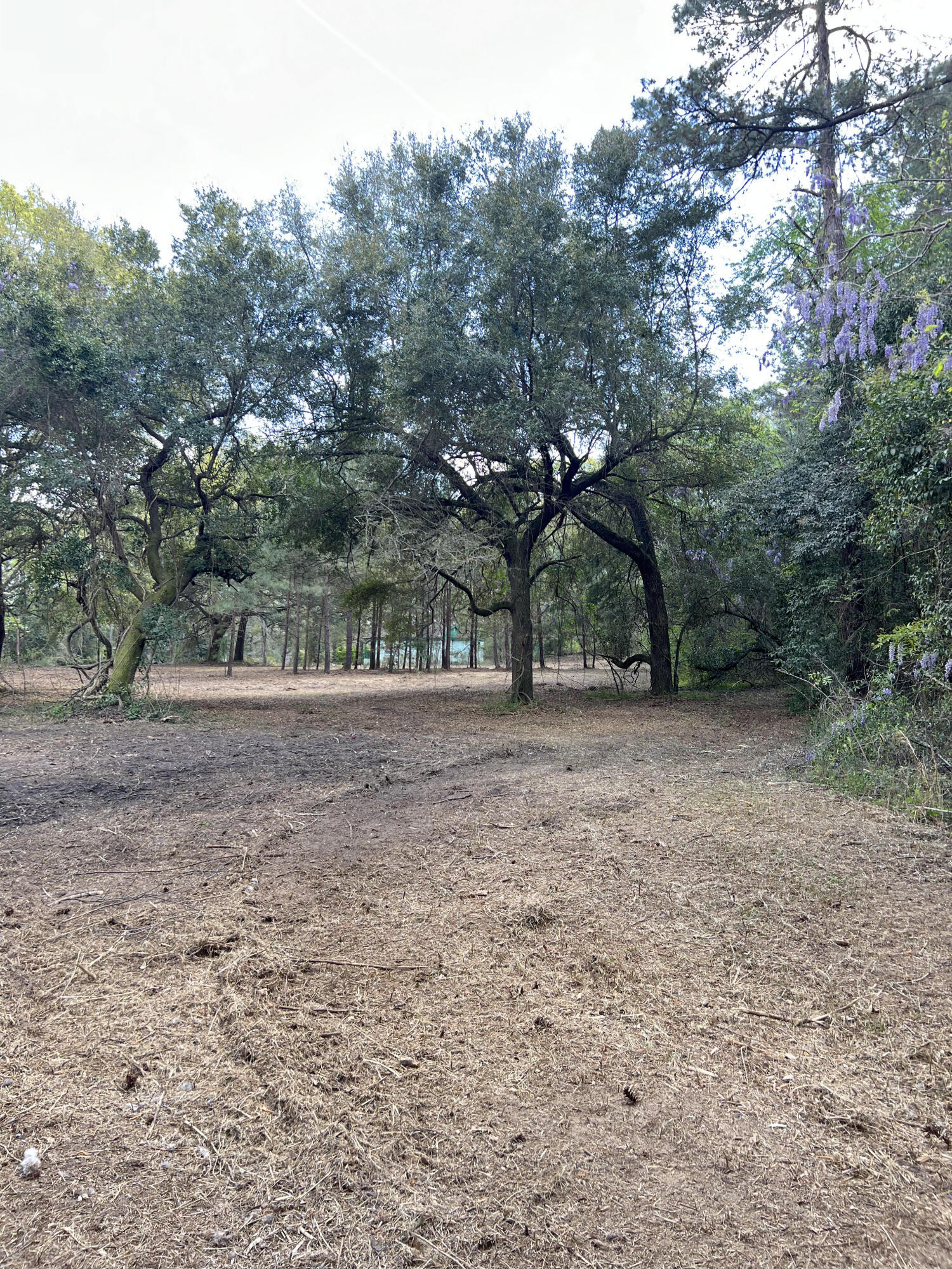 111 Roberta Drive