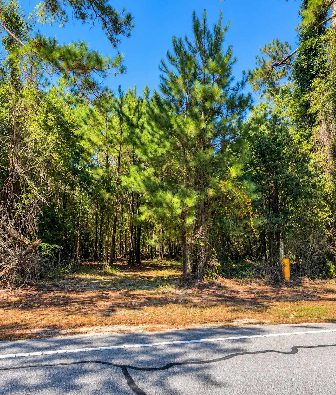 8419 Jefferies Highway