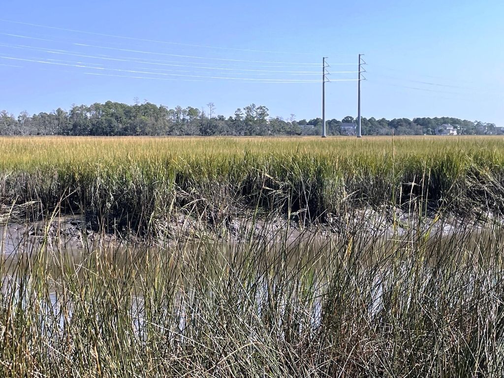 Photo of 0 Fenwick Plantation Road, Johns Island, SC 29455 (MLS # 24026014)