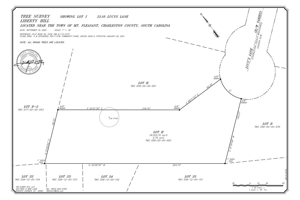 Photo of 0 Lucys Lane, Mount Pleasant, SC 29466 (MLS # 24029805)