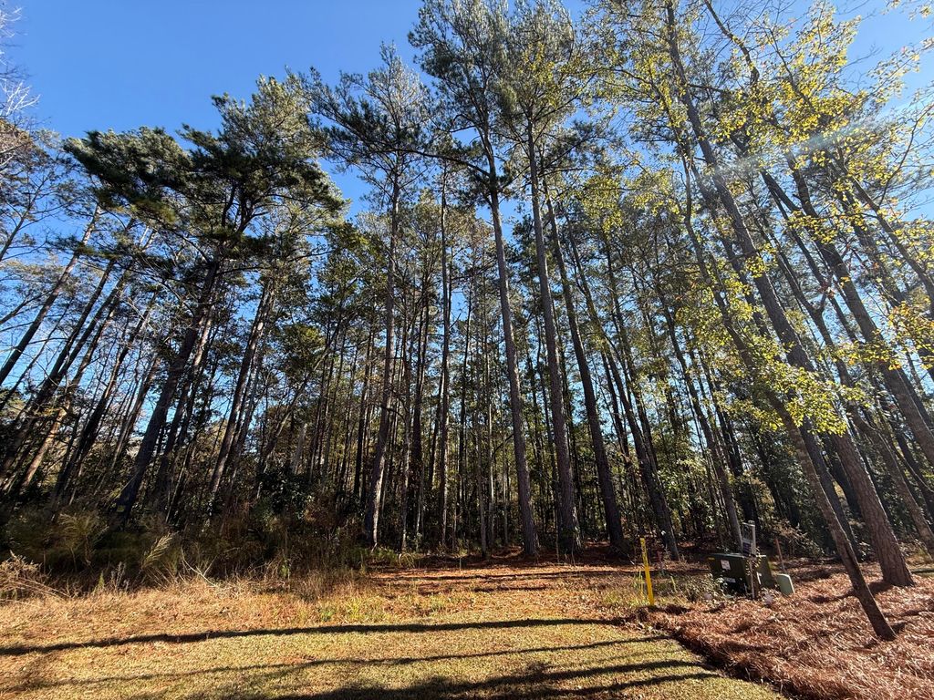 Photo of 0 Almond Court, Summerville, SC 29483 (MLS # 25032318)