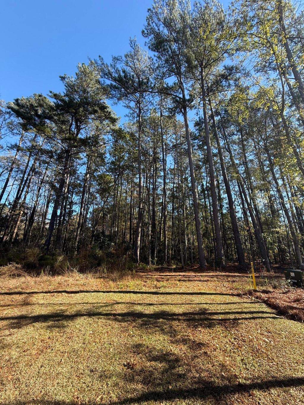 Photo of 0 Almond Court, Summerville, SC 29483 (MLS # 25032318)