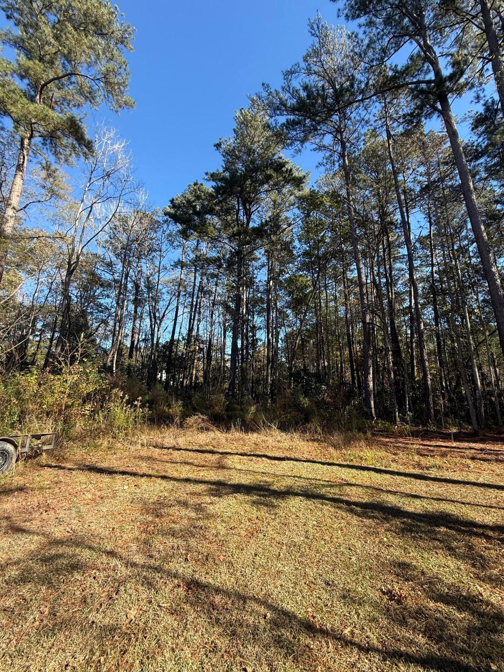 Photo of 0 Almond Court, Summerville, SC 29483 (MLS # 25032318)