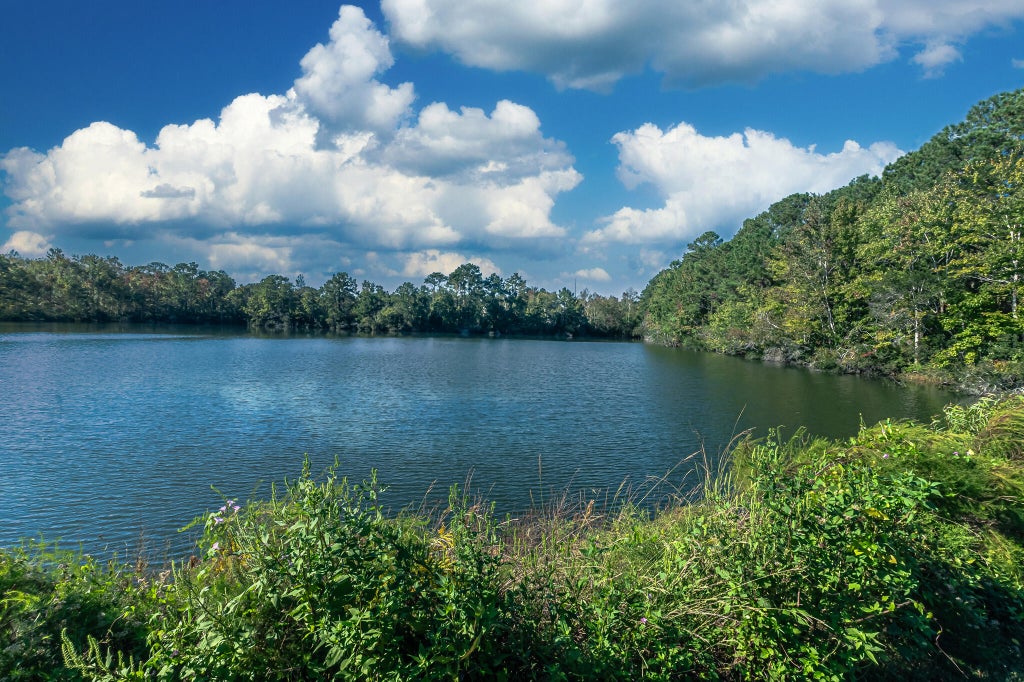 Photo of 0 Vaughn Ed Kee Parkway, Mount Pleasant, SC 29466 (MLS # 26029370)