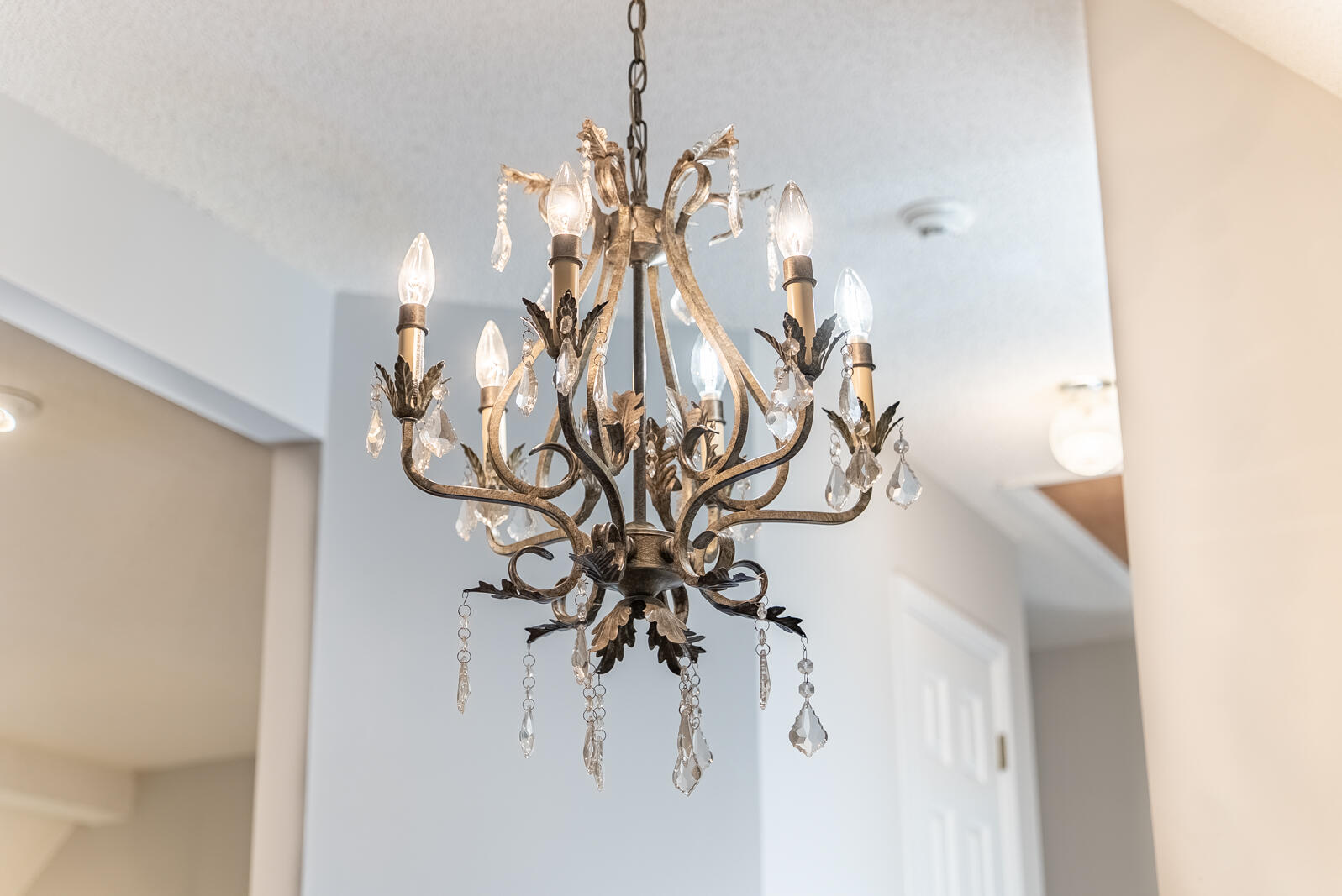 103 Littlejohn Street