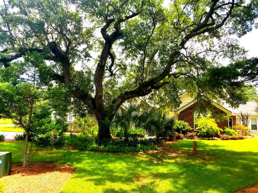 114 Ashley Villa Circle B