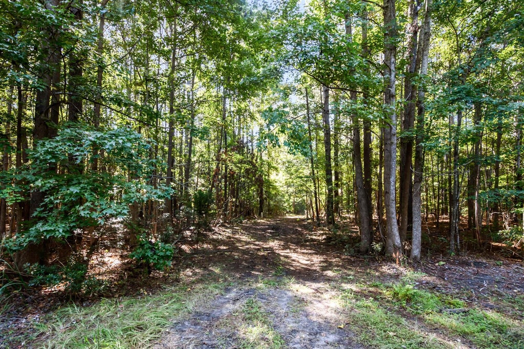Photo of 3745 Humbert Road, Johns Island, SC 29455 (MLS # 26027382)