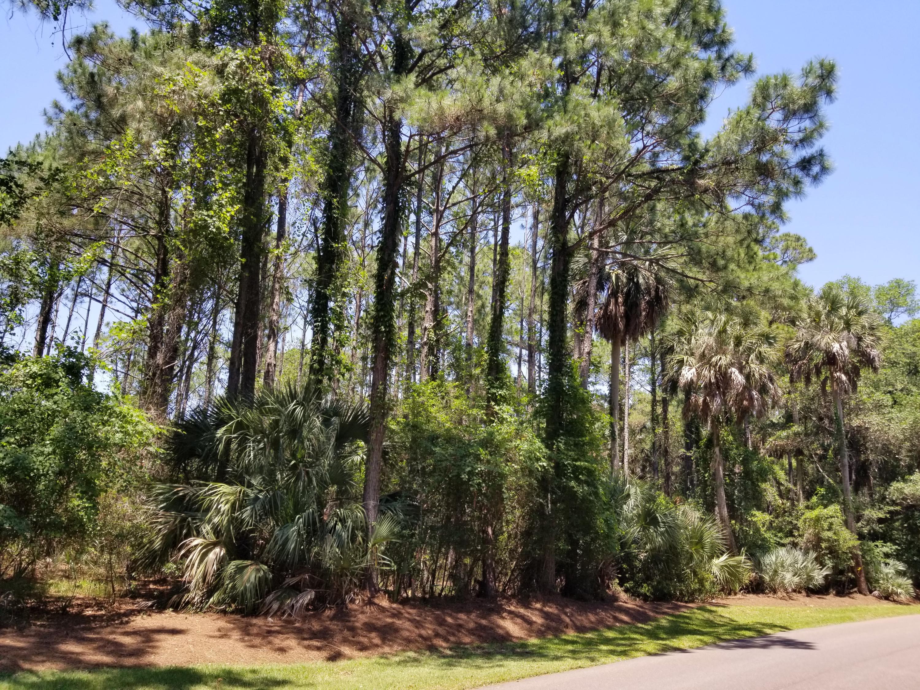 53 Blue Heron Pond Road