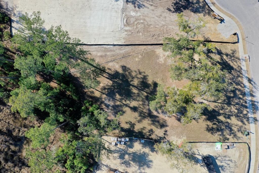 Photo of 934 Fish Camp Road, Charleston, SC 29492 (MLS # 26000249)