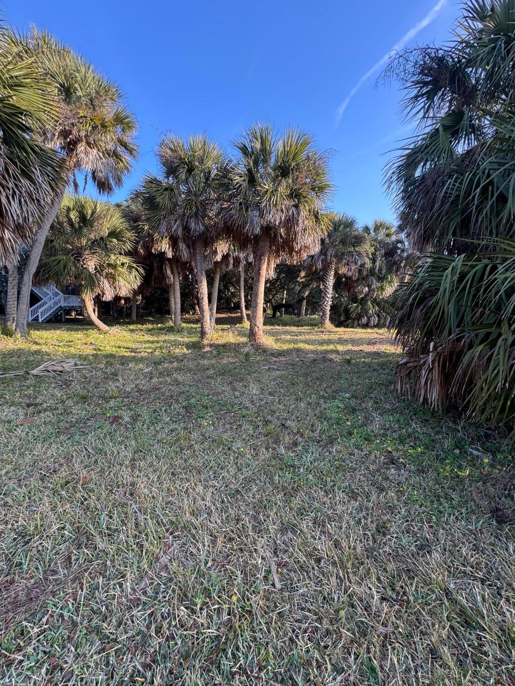 Photo of 1505 Marianne Street, Edisto Island, SC 29438 (MLS # 26000486)
