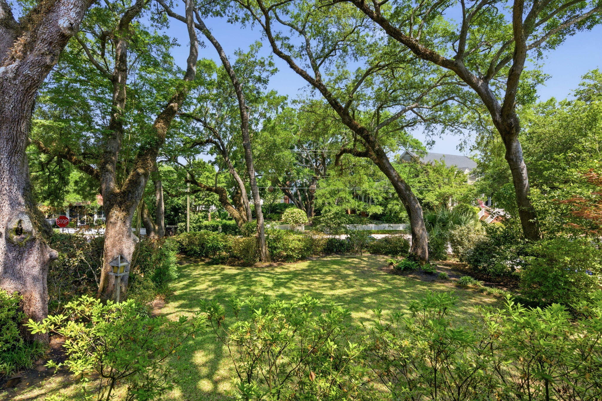143 Live Oak Drive