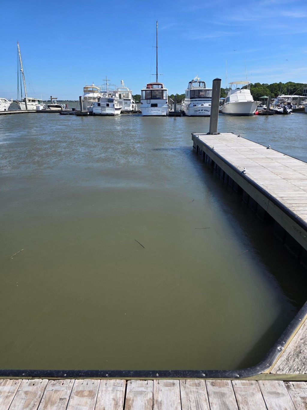 Photo of Folly Beach, SC 29439 (MLS # 25025202)