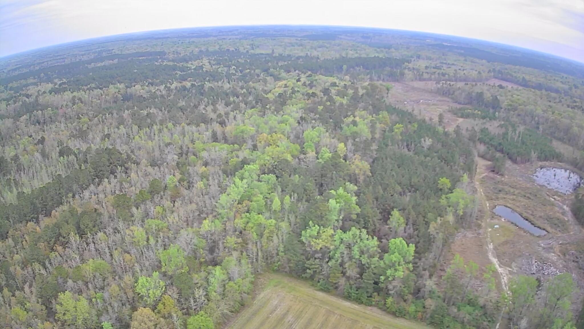 7753 Augusta Highway