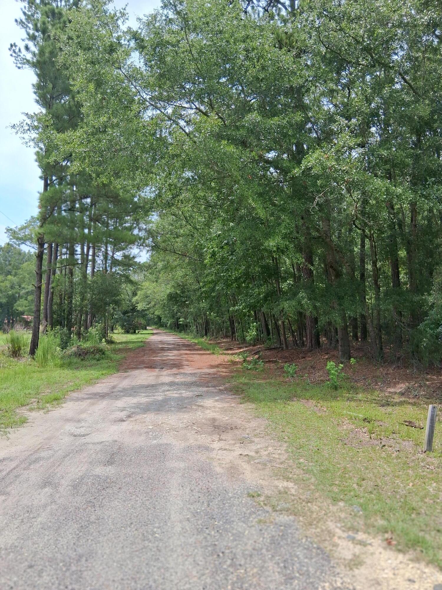 8070 Williford Road