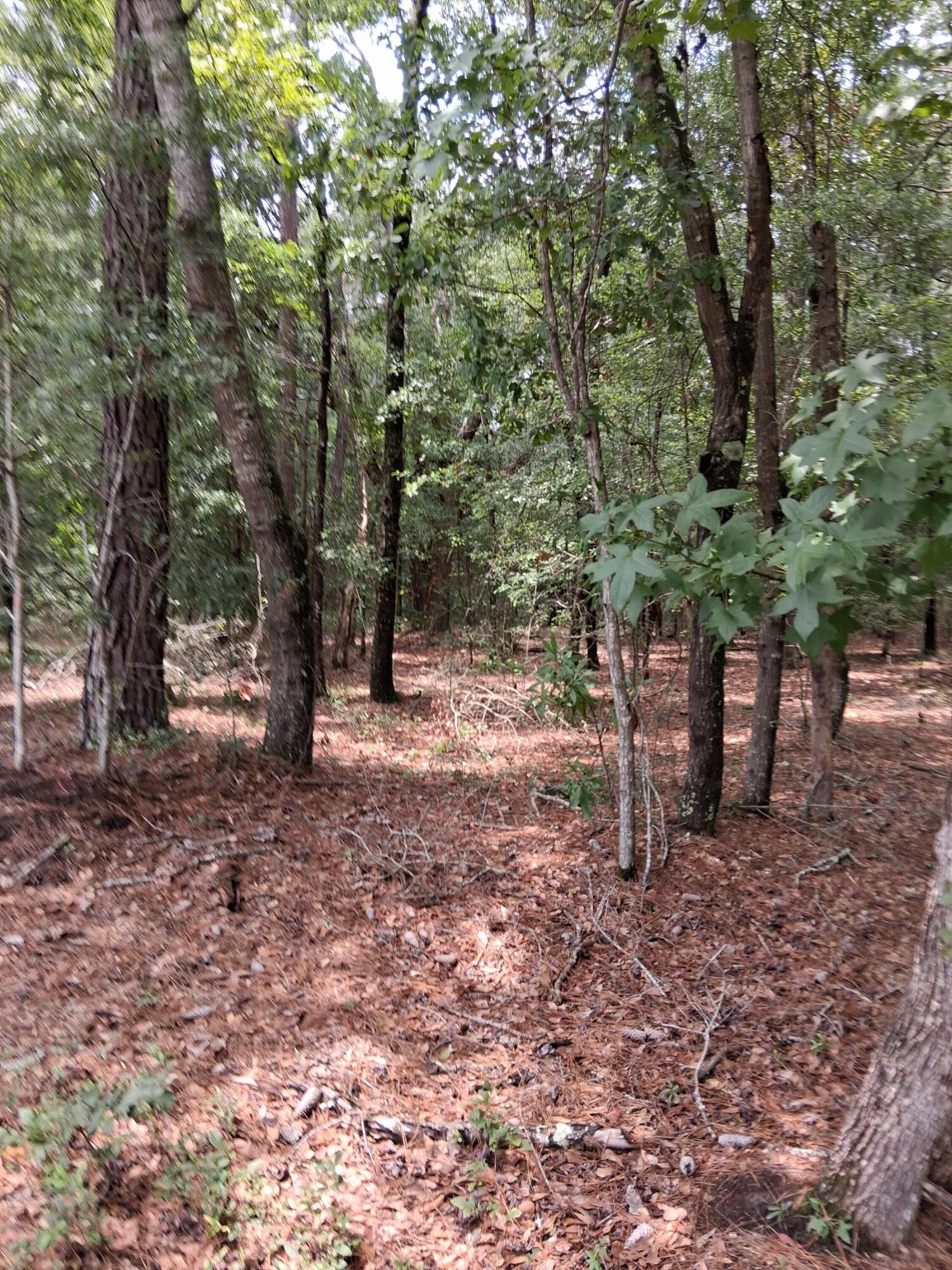 8070 Williford Road