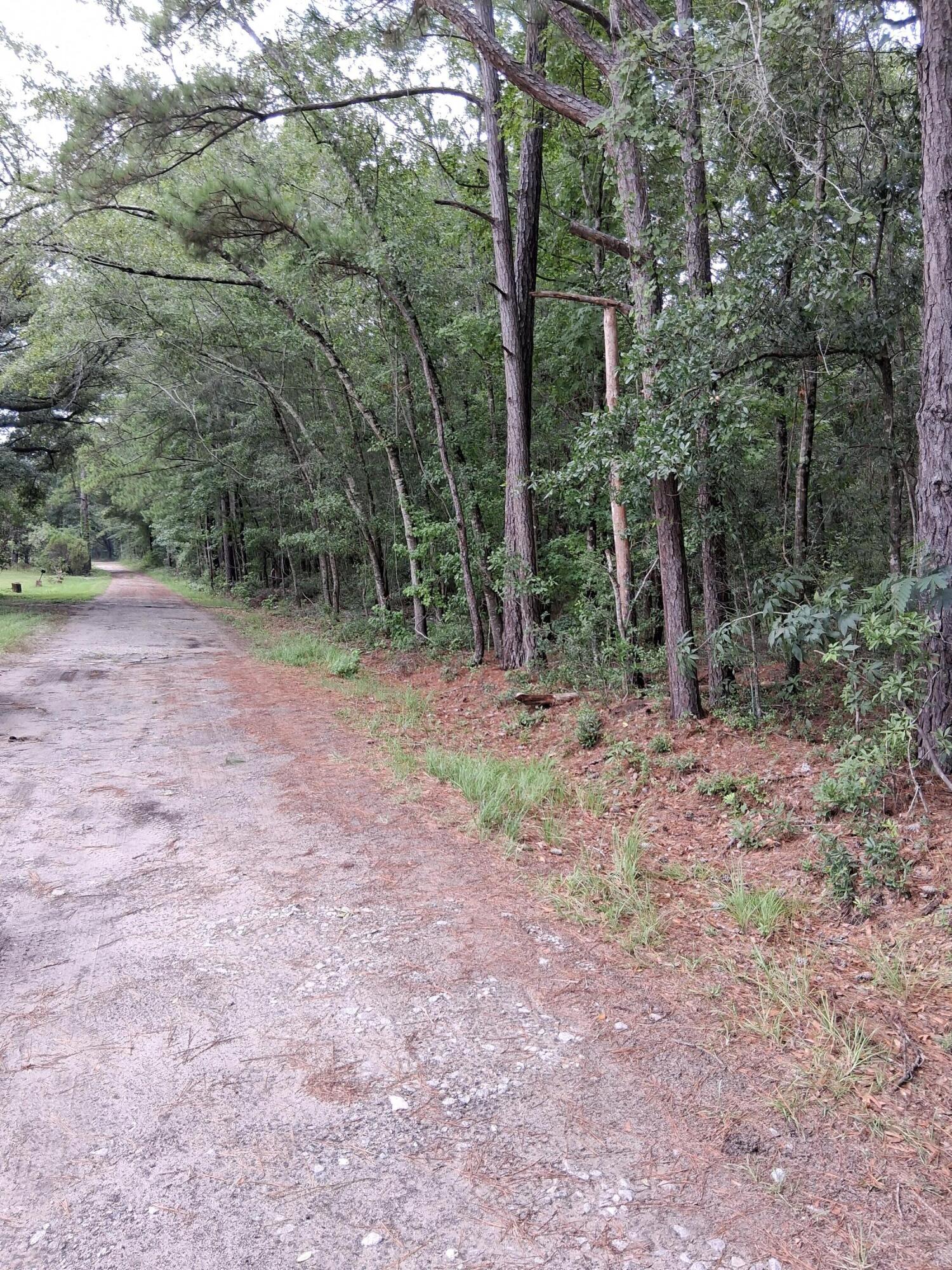 8070 Williford Road