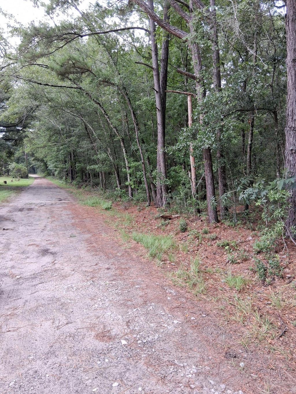 Photo of 8070 Williford Road, Adams Run, SC 29426 (MLS # 25019340)