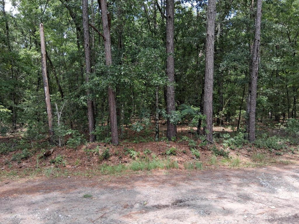 Photo of 8070 Williford Road, Adams Run, SC 29426 (MLS # 25019340)