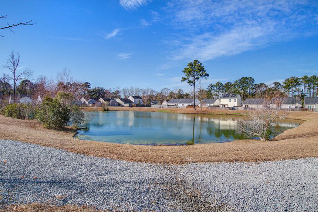 Photo of 167 Brittondale Road, Summerville, SC 29485 (MLS # 26000519)