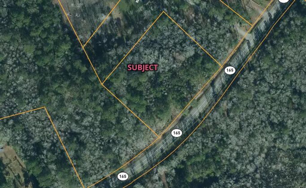 Photo of 0 Delemar Highway, Ravenel, SC 29470 (MLS # 25025432)