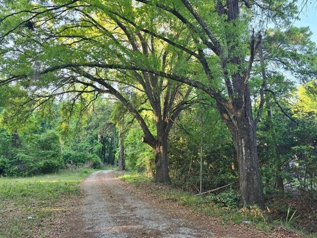 Photo of 277 Pidgeon Bay Road, Summerville, SC 29483 (MLS # 25029734)