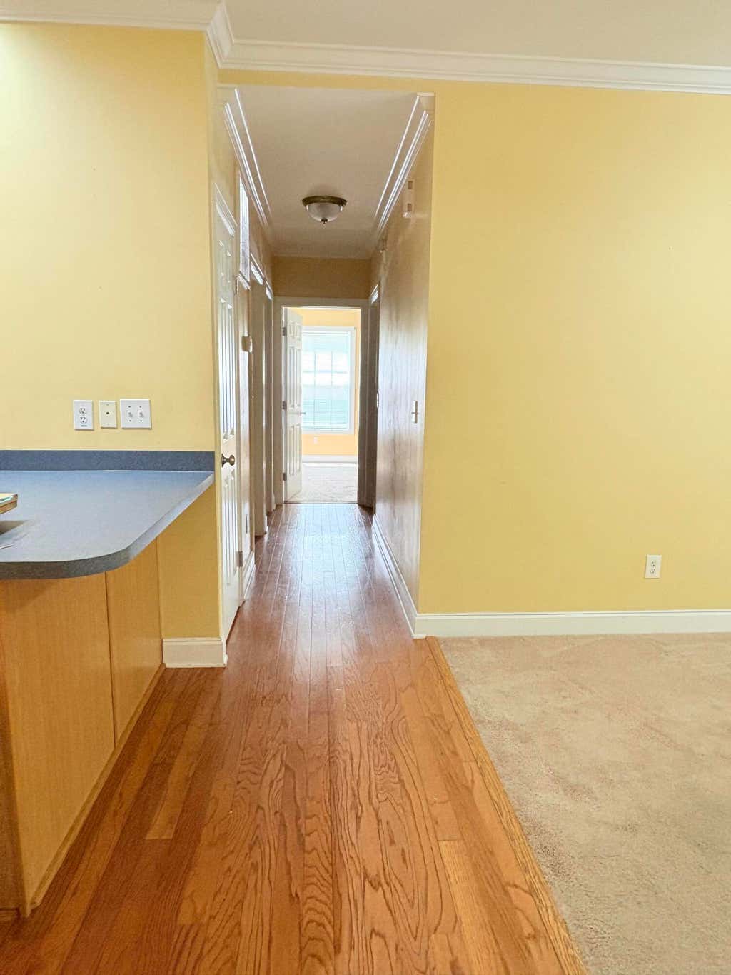 Photo of 4005 Radcliffe Place Drive #A-2, Charleston, SC 29414 (MLS # 26016342)