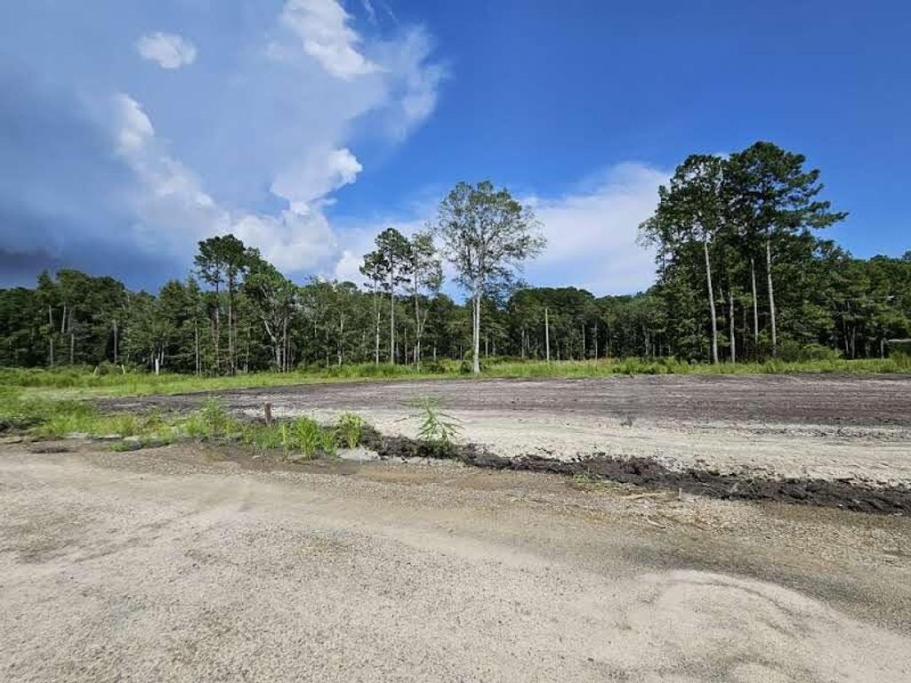 Photo of 1160 Porcher School Rd Rd #Lot 4, Awendaw, SC 29429 (MLS # 25022277)