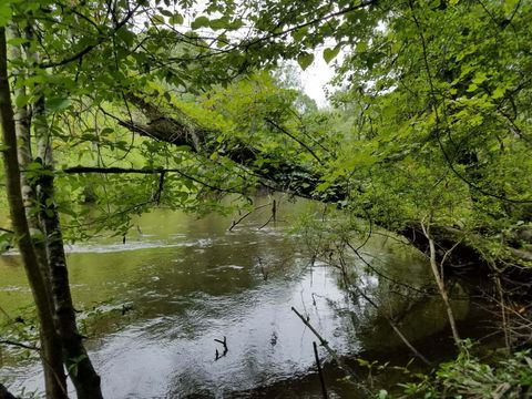 0000 Pierce Road Ridgeville SC 29472