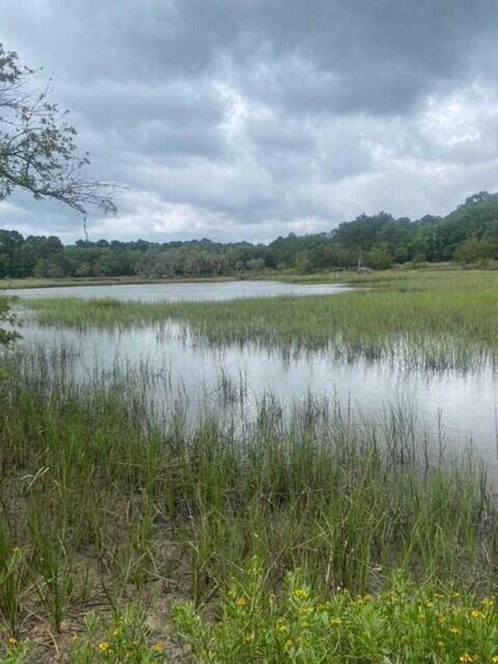 Photo of 4141 Sc-174, Hollywood, SC 29449 (MLS # 25016006)