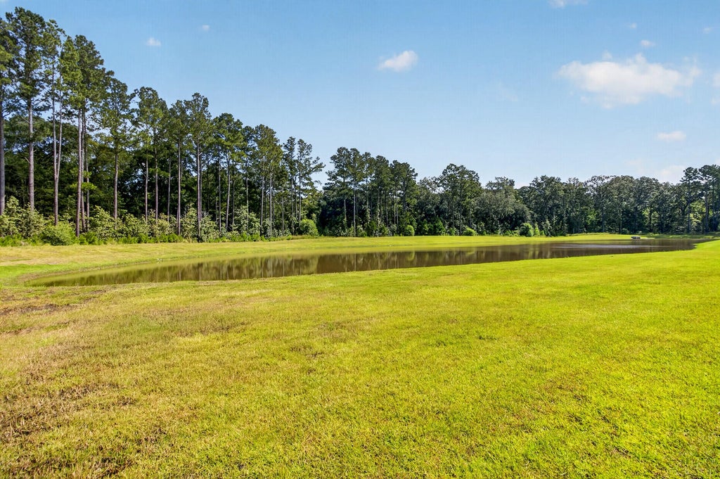 Photo of 995 Arrowwood Way, Summerville, SC 29485 (MLS # 26026860)