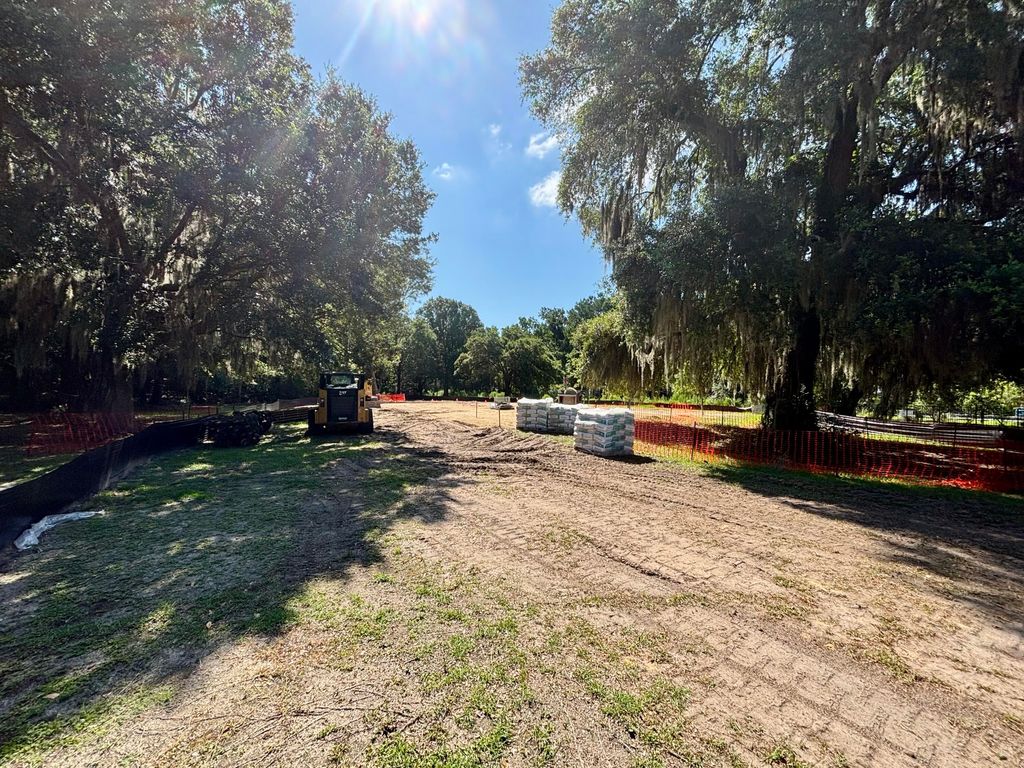 Photo of 2983 Old Tavern Court, Mount Pleasant, SC 29466 (MLS # 25024232)