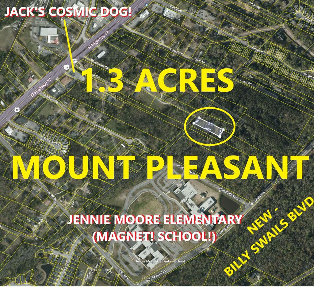 Photo of 0 Coakley Rd, Mount Pleasant, SC 29466 (MLS # 23016313)