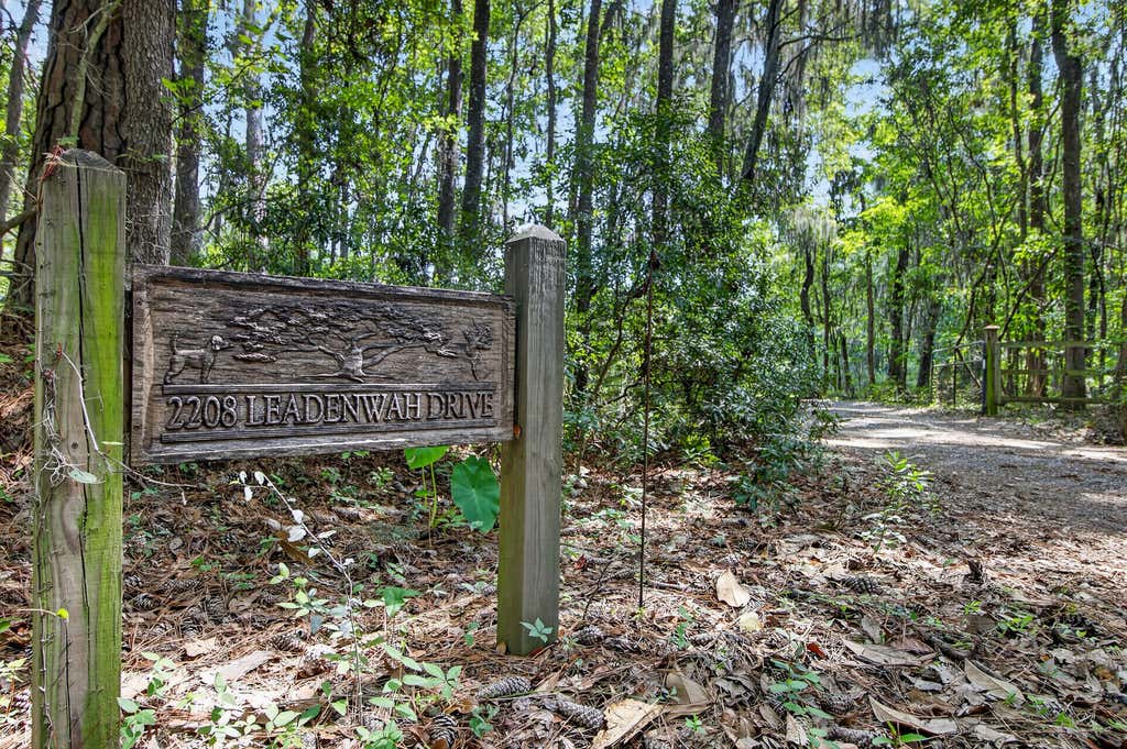 Photo of 2208 Leadenwah Drive, Wadmalaw Island, SC 29487 (MLS # 26023419)