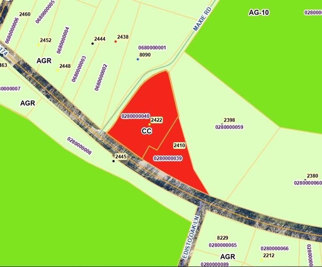 Photo of 2422 Highway 174, Edisto Island, SC 29438 (MLS # 25031910)