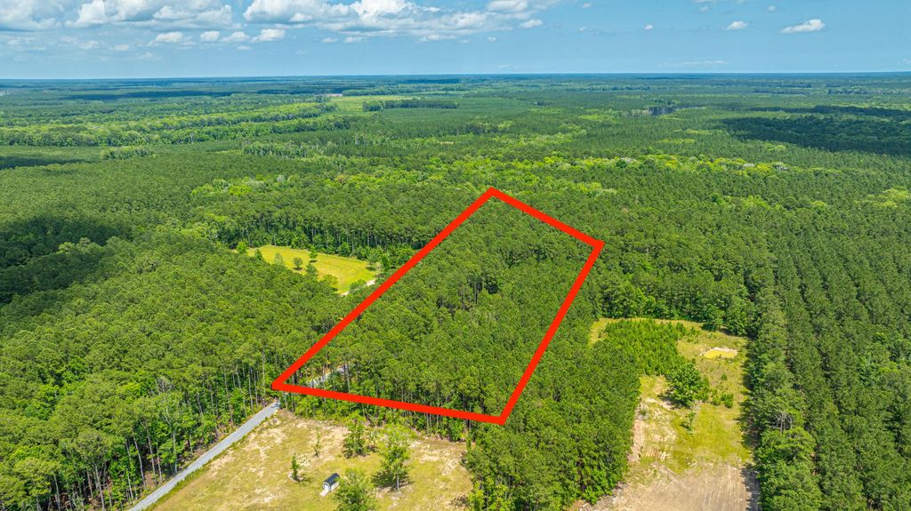 Photo of 6774 Spring Grove Road, Adams Run, SC 29426 (MLS # 25022571)
