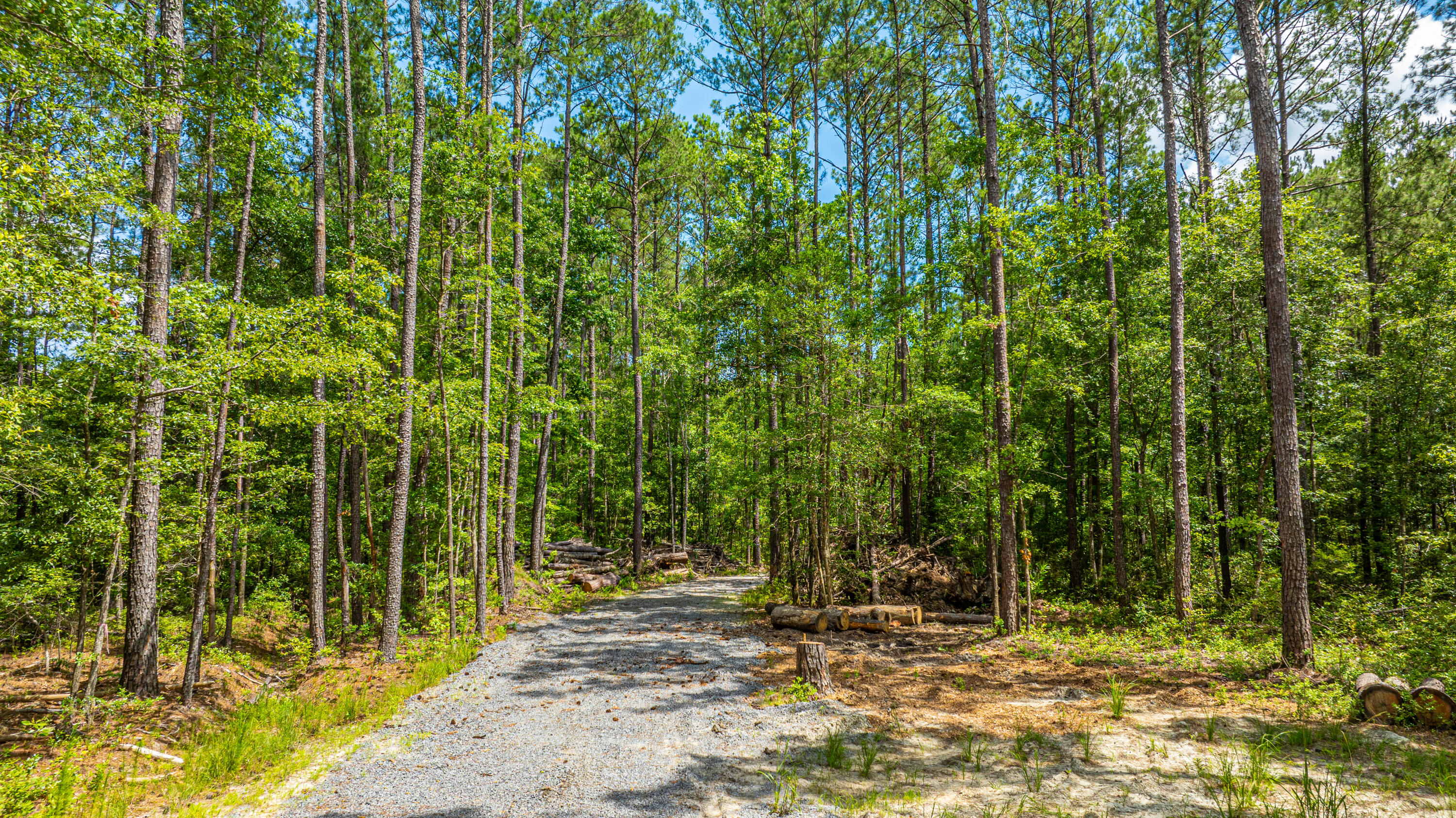 6774 Spring Grove Road