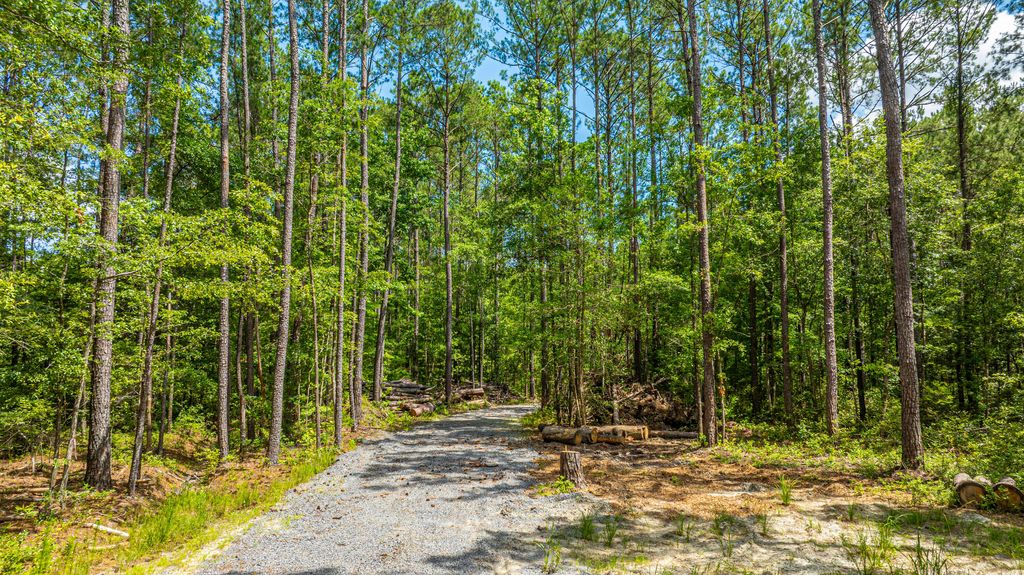 Photo of 6774 Spring Grove Road, Adams Run, SC 29426 (MLS # 25022571)