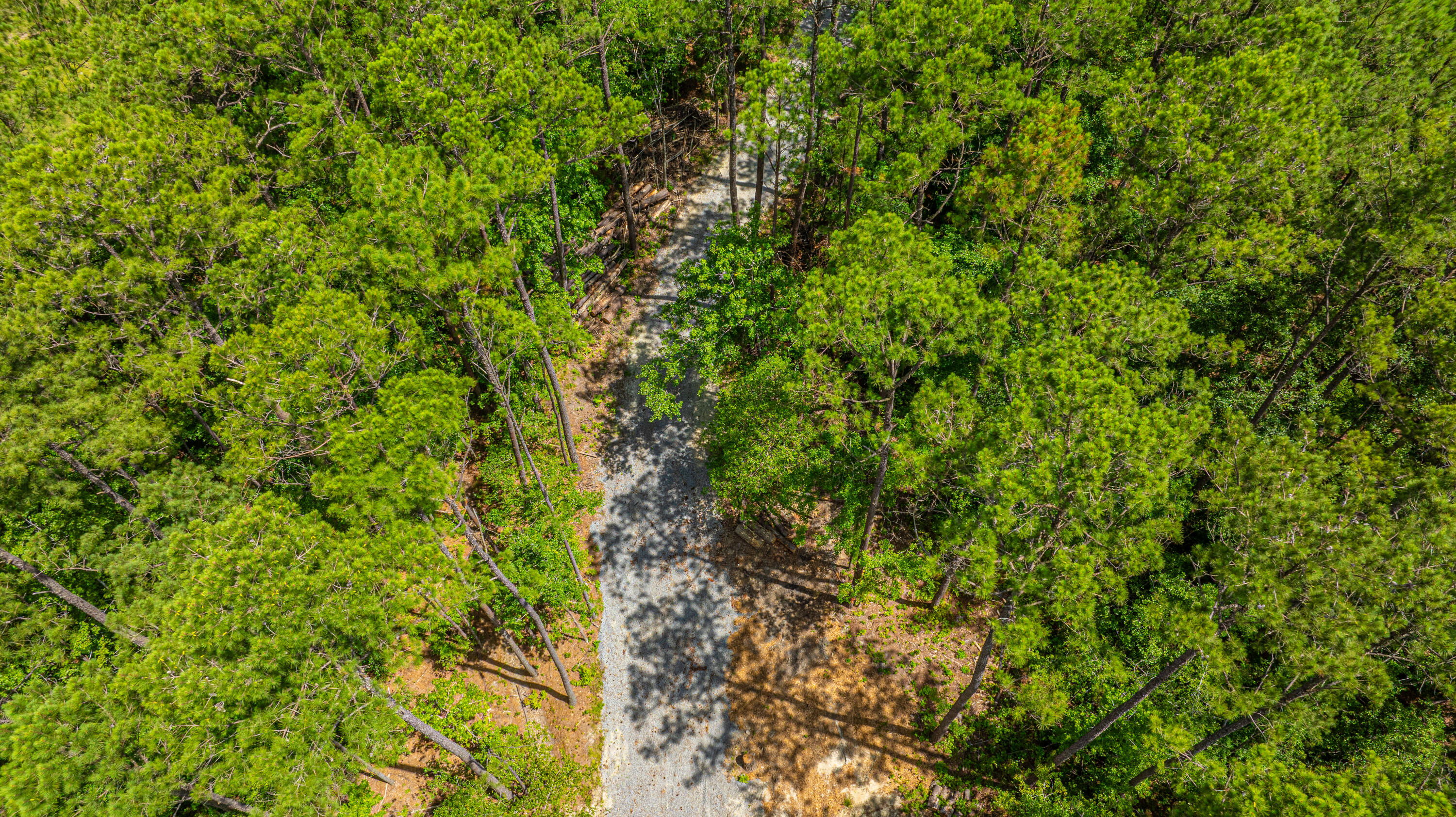 6774 Spring Grove Road