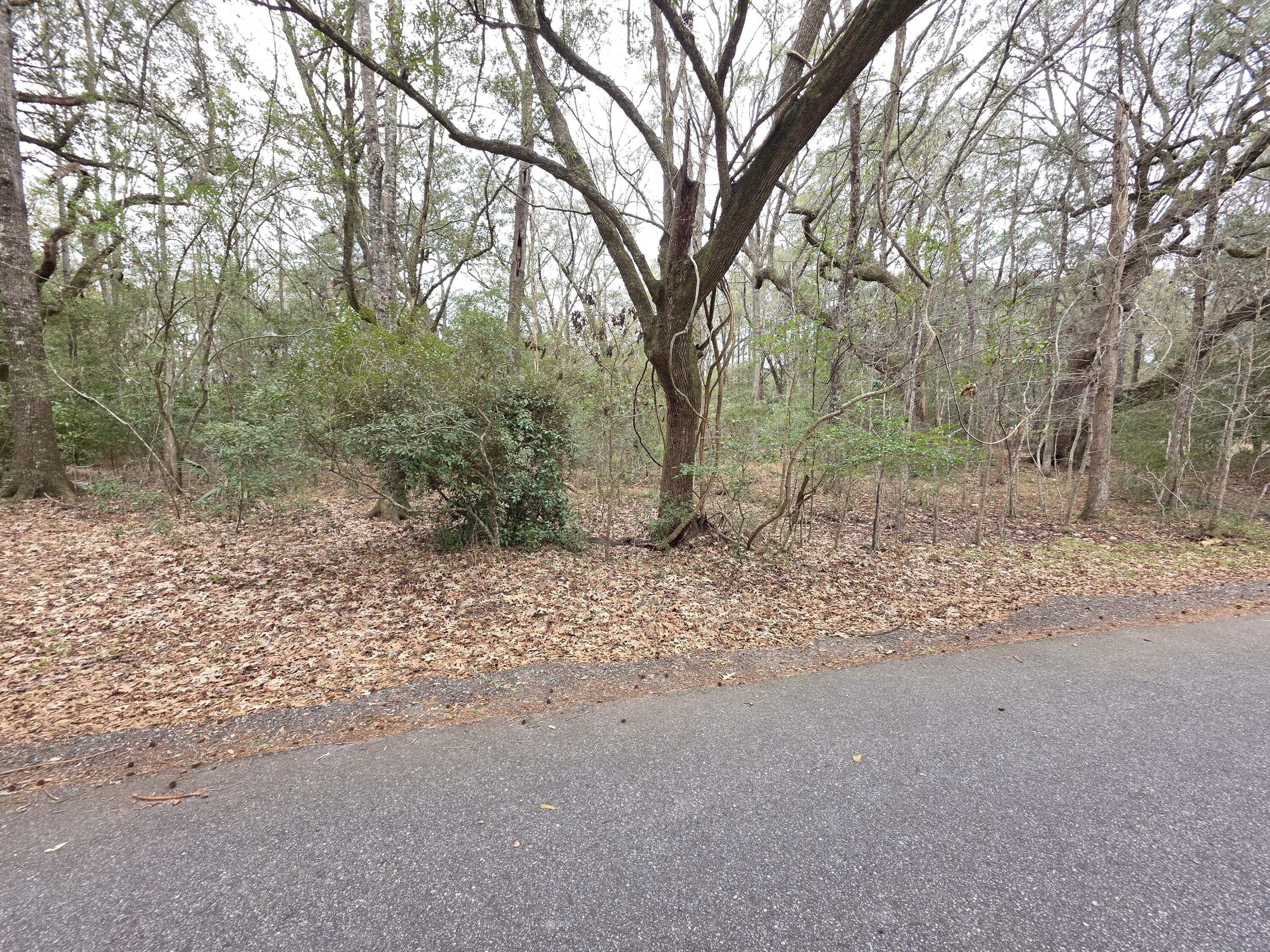 0 Timber Race Course