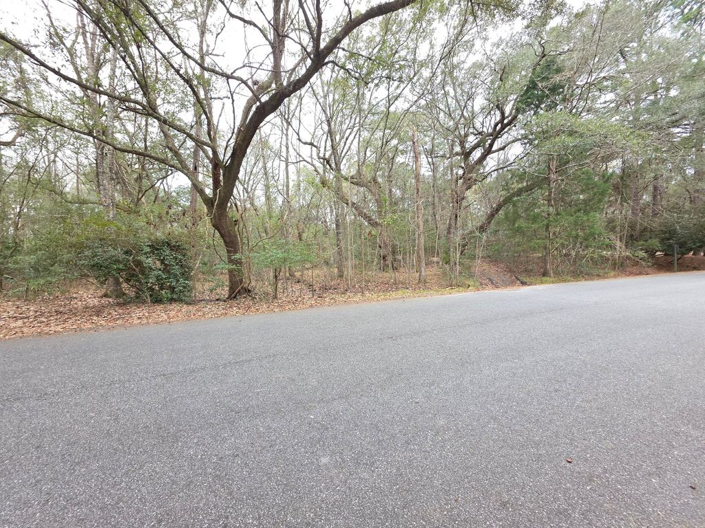 Photo of 0 Timber Race Course, Hollywood, SC 29449 (MLS # 26003096)