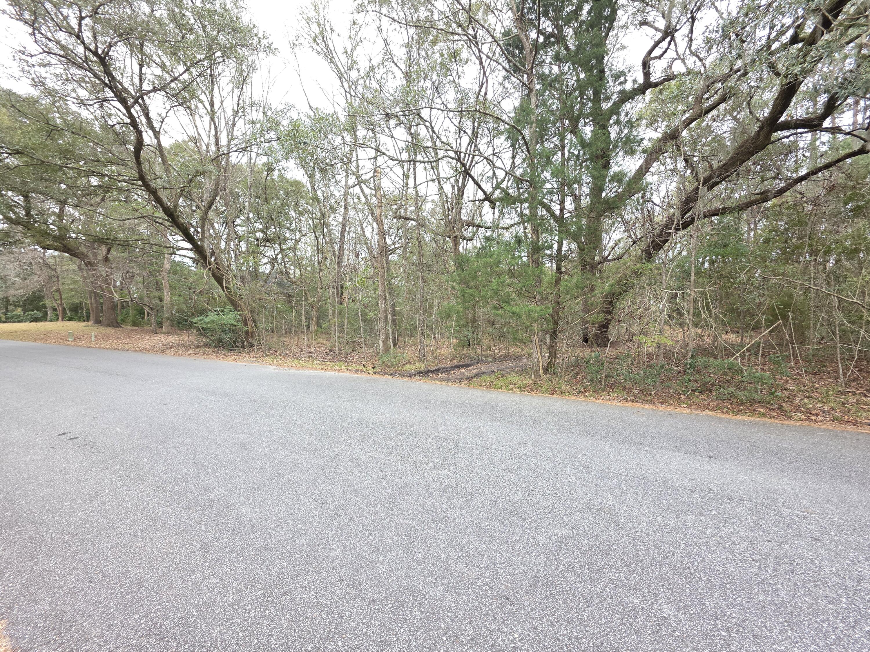 0 Timber Race Course