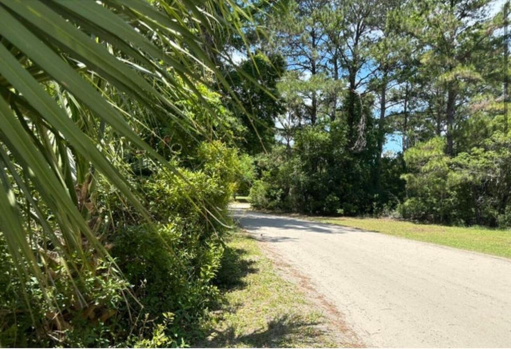 Photo of 628 Jan Savage Way, Edisto Island, SC 29438 (MLS # 25031978)