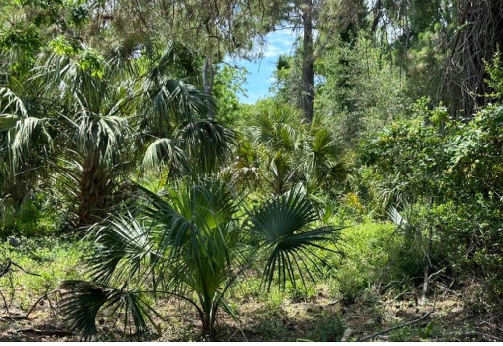 Photo of 628 Jan Savage Way, Edisto Island, SC 29438 (MLS # 25031978)