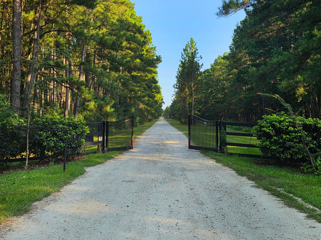 Photo of 9715 Two Pines Road, McClellanville, SC 29458 (MLS # 25032483)